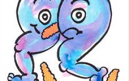 Crywank Albums Ranked